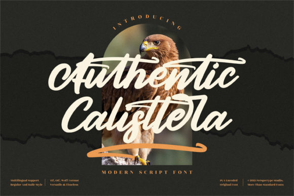 Authentic Calisttera: A Thoughtful Script Font for Editorial Warmth