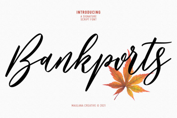 Bankports Signature: The Font That Makes Your Campaign Feel Intentional