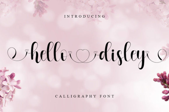 Hello Disley: A Handwritten Font That Makes Your Campaign Feel Human