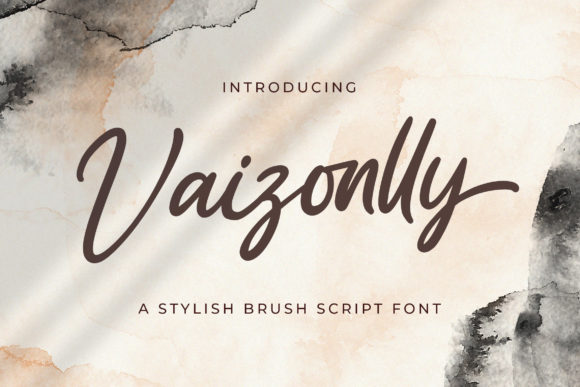 Vaizonlly: A Script Amp That Earns Its Space