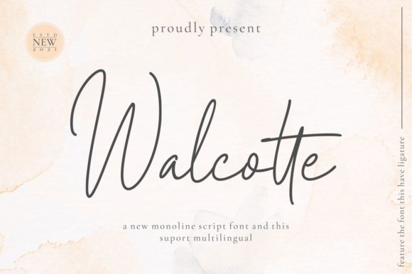Walcotte: A Modern Script Font for Scroll-Stopping Brand Content